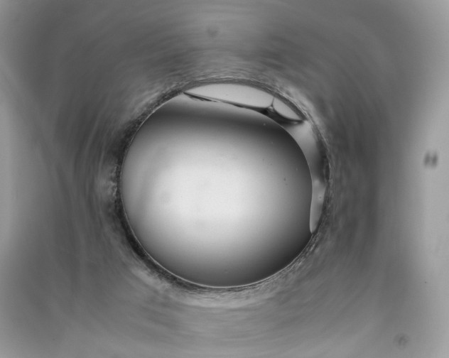 X0000090920017200708131442