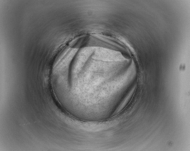 X0000090920018200708131442