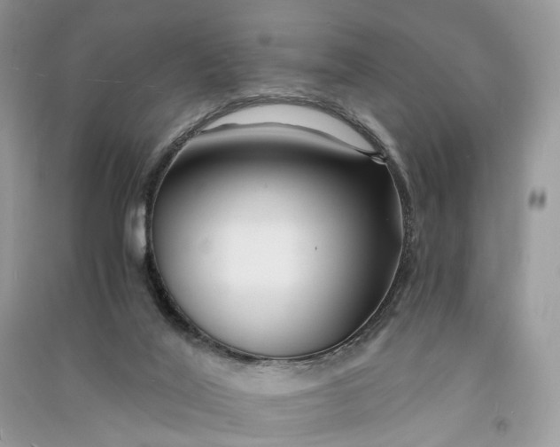 X0000090920020200708131442