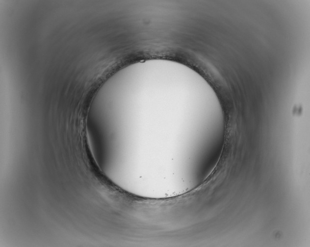 X0000090920025200708131442