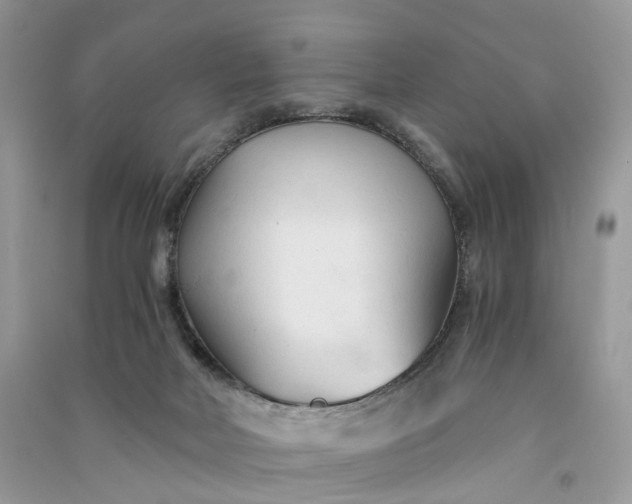 X0000090920026200708131442