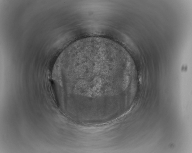 X0000090920029200708131442