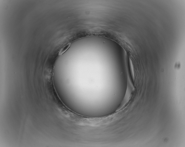 X0000090920033200708131442