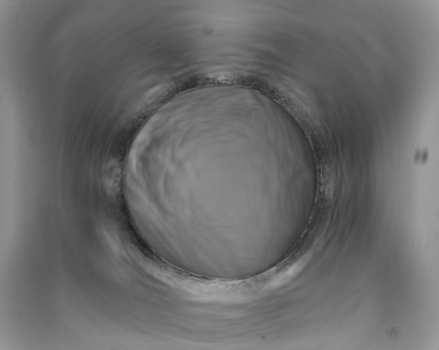 X0000090920036200708131442