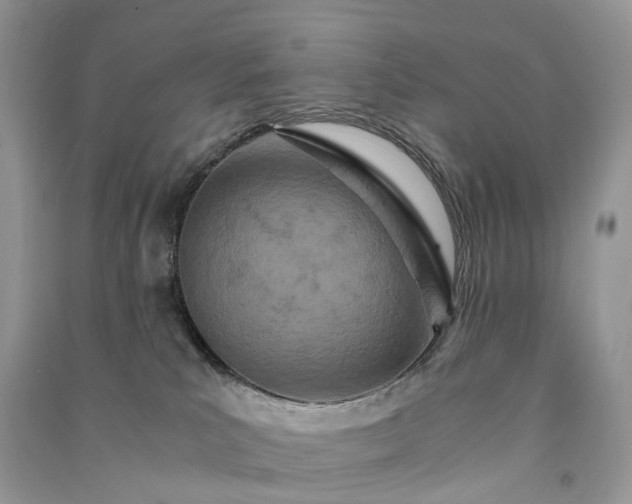 X0000090920039200708131442