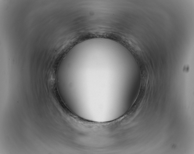 X0000090920040200708131442