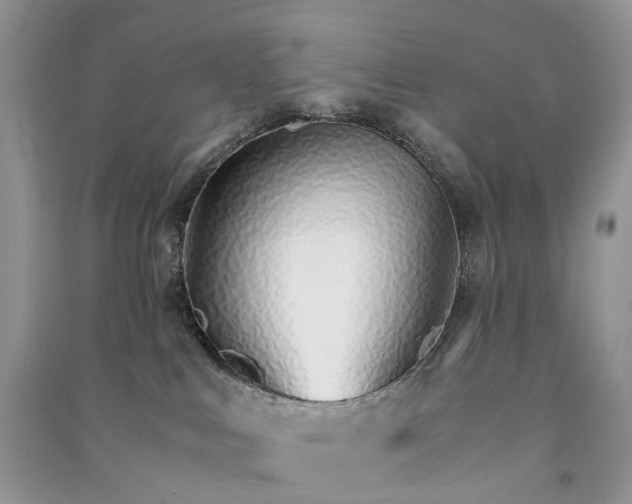 X0000090920043200708131442