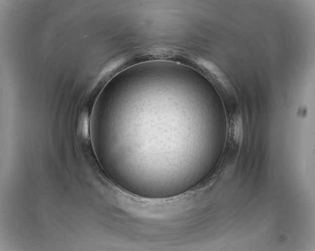 X0000090920046200708131442