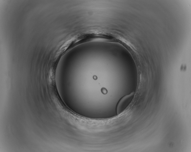 X0000090920048200708131442