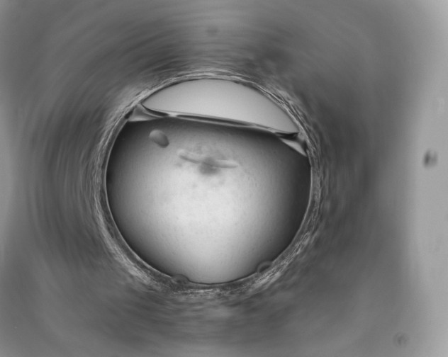 X0000090920049200708131441