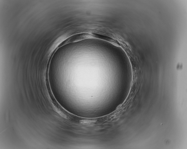 X0000090920051200708131442