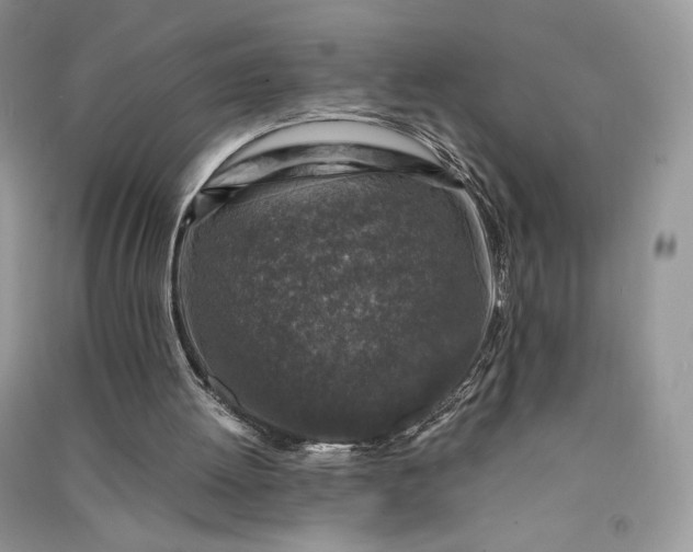 X0000090920052200708131442