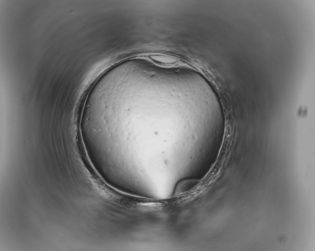 X0000090920053200708131442