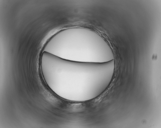 X0000090920054200708131442