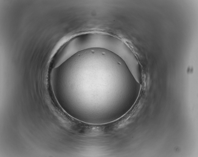 X0000090920056200708131442