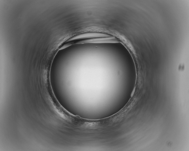 X0000090920057200708131442