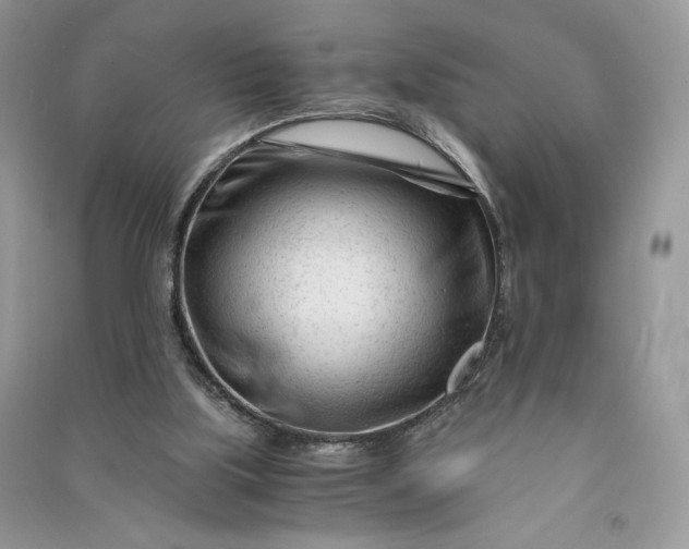 X0000090920059200708131442