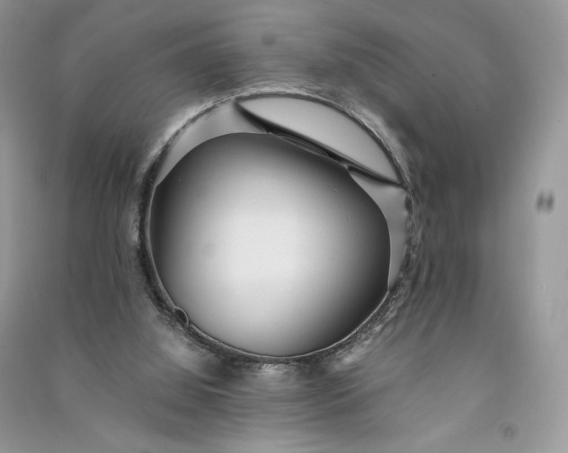 X0000090920060200708131442