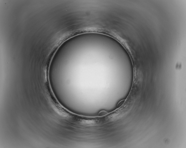 X0000090920061200708131442