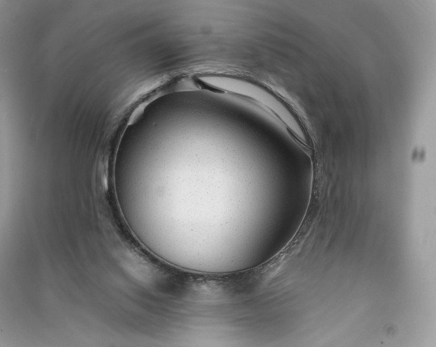 X0000090920062200708131442