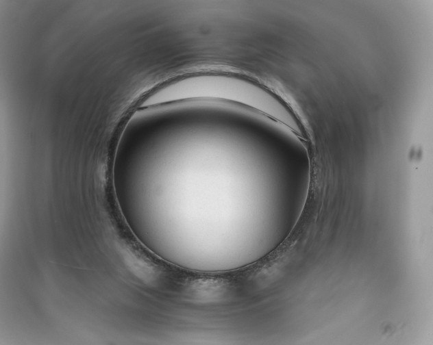 X0000090920063200708131442