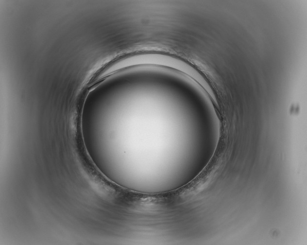 X0000090920064200708131442