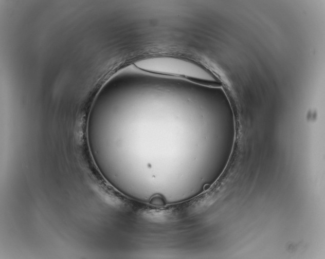 X0000090920065200708131442