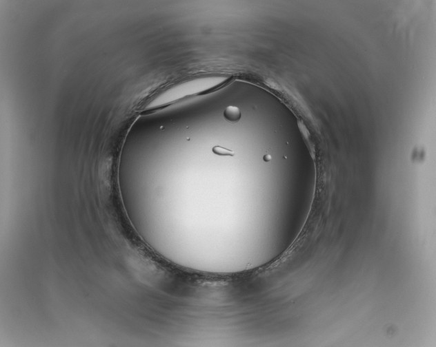 X0000090920066200708131442