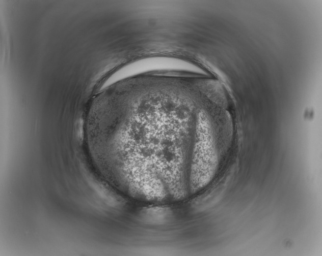 X0000090920067200708131442