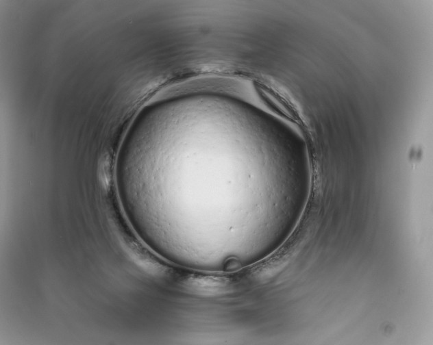 X0000090920069200708131442