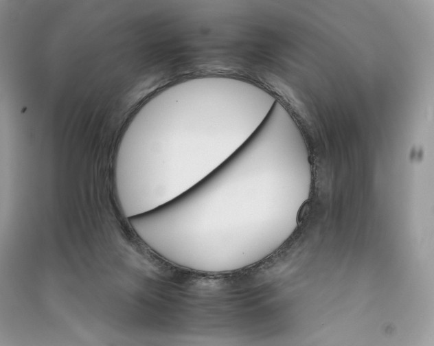 X0000090920071200708131442