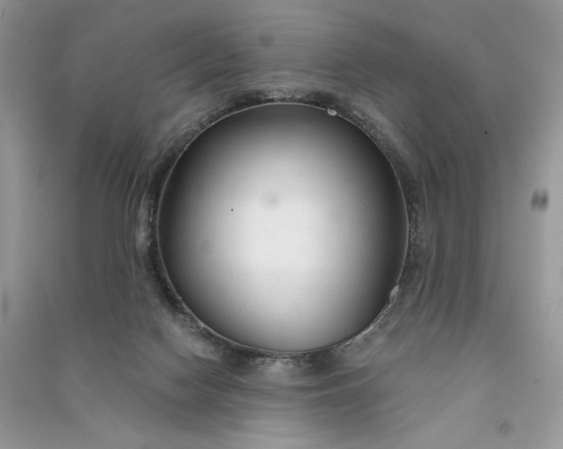 X0000090920074200708131442