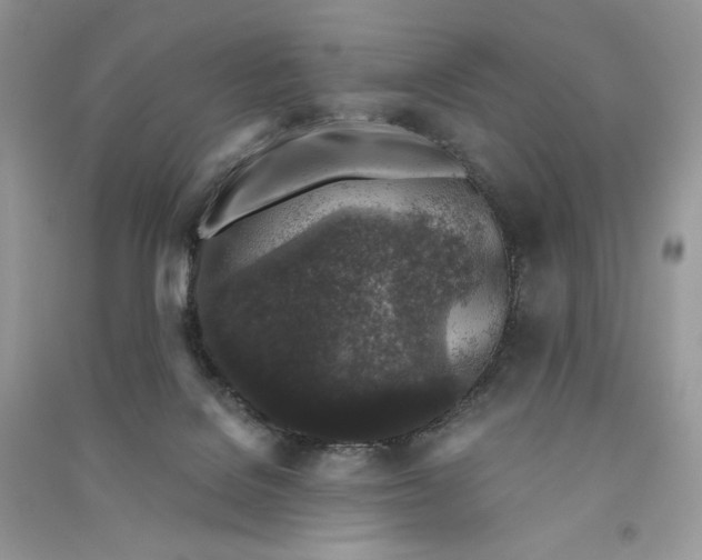 X0000090920076200708131442