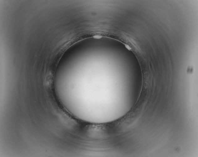 X0000090920077200708131442