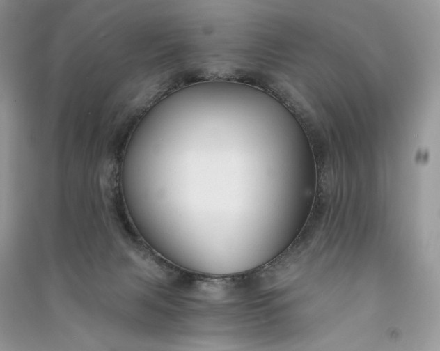 X0000090920079200708131442