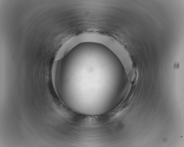 X0000090920080200708131442