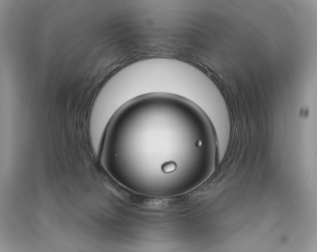 X0000090920084200708131442