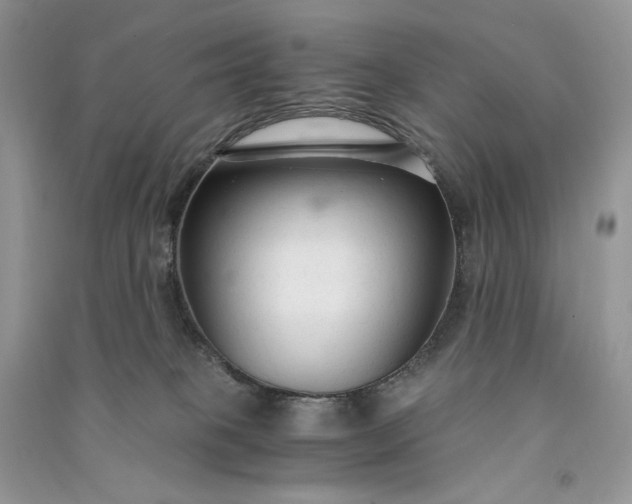 X0000090920085200708131442