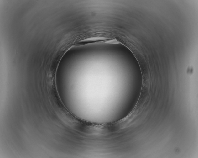 X0000090920086200708131442