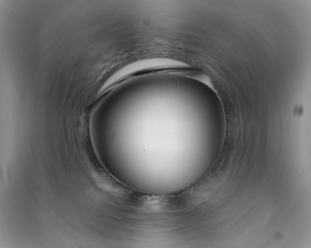 X0000090920088200708131442