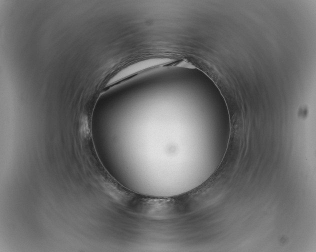 X0000090920089200708131442