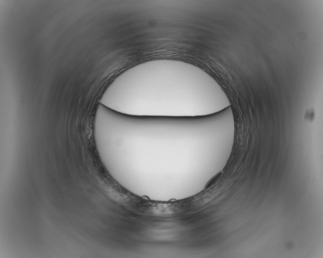 X0000090920091200708131442