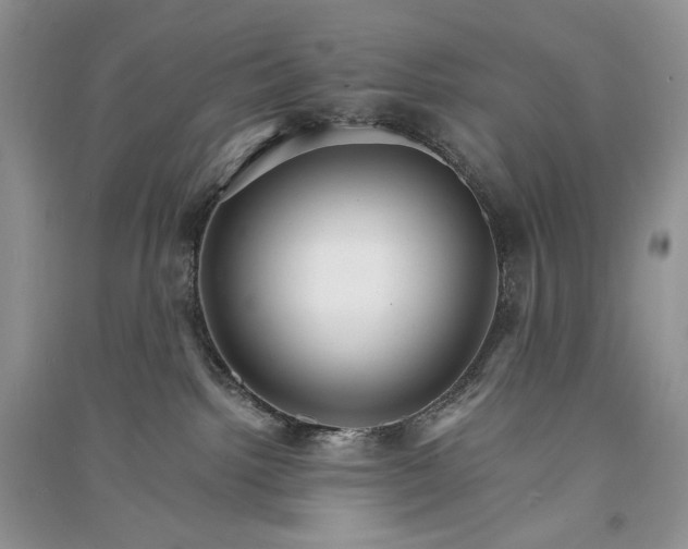 X0000090920092200708131442