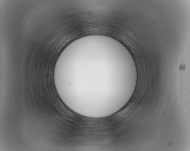 X0000090920096200708131442