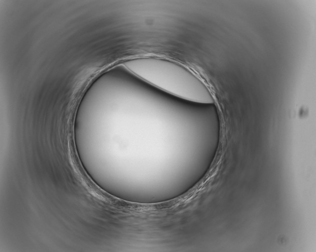 X0000090920097200708131441