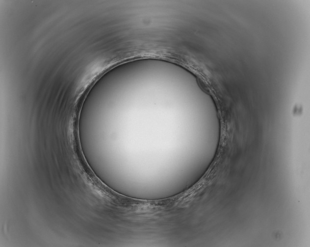 X0000090920098200708131441