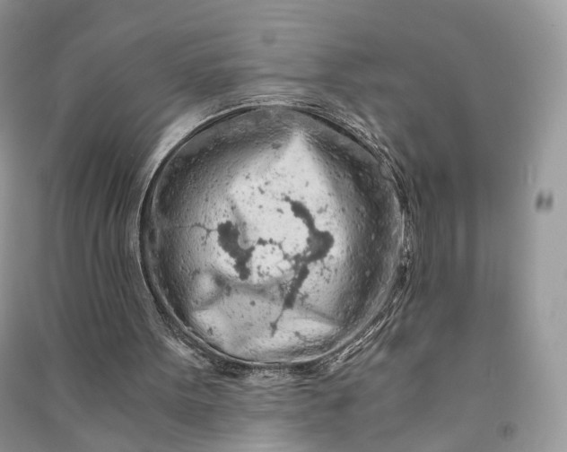 X0000090920099200708131441