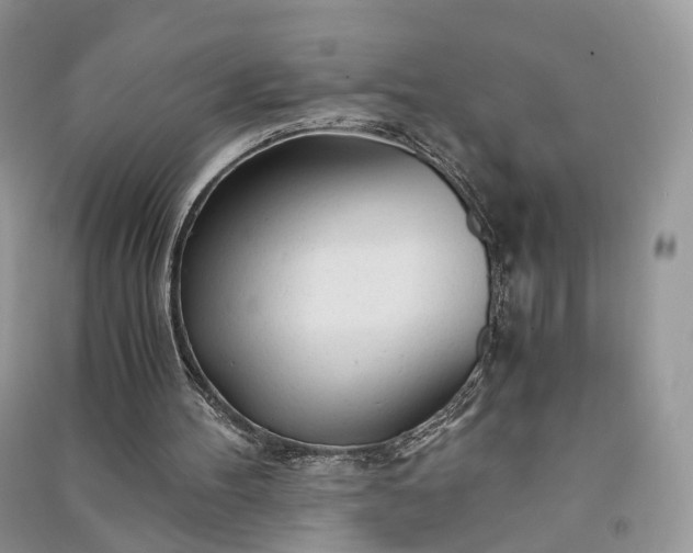 X0000090920100200708131441