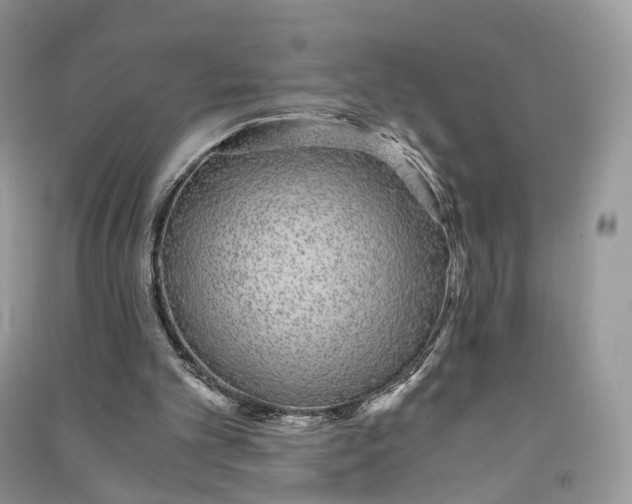 X0000090920101200708131441