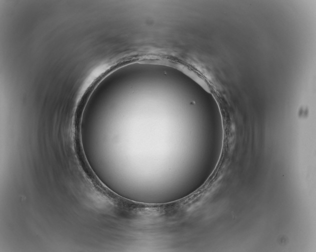 X0000090920102200708131441